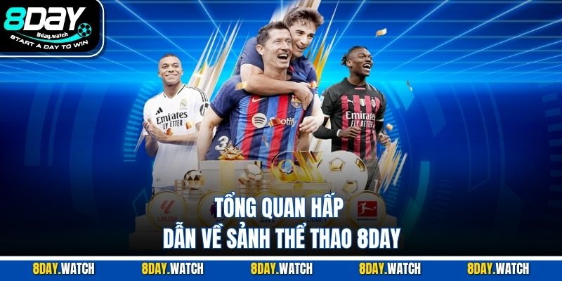 Tổng quan hấp dẫn về sảnh thể thao 8DAY